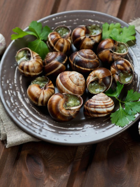 Douzaine d'escargots de Bourgogne